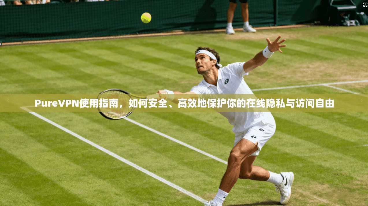 PureVPN使用指南，如何安全、高效地保护你的在线隐私与访问自由
