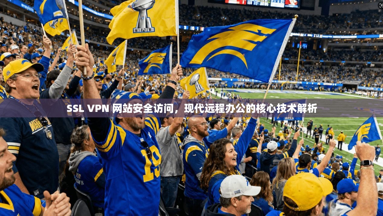 SSL VPN 网站安全访问,现代远程办公的核心技术解析