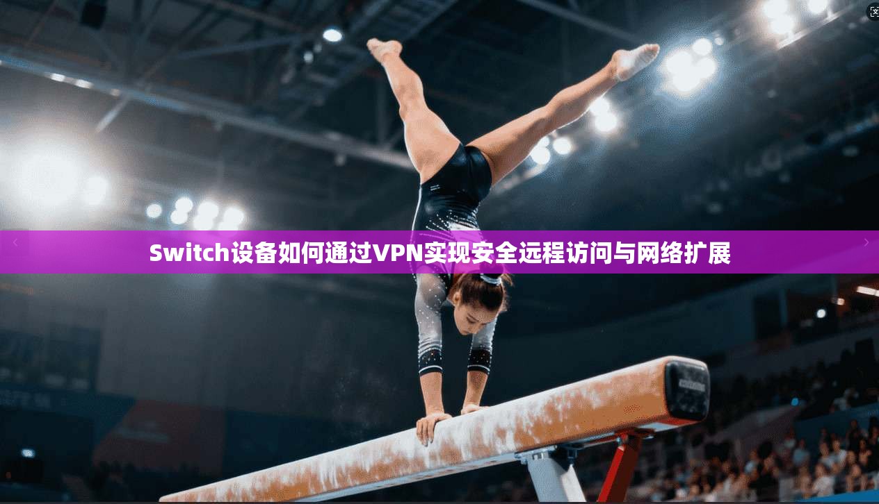 Switch设备如何通过VPN实现安全远程访问与网络扩展