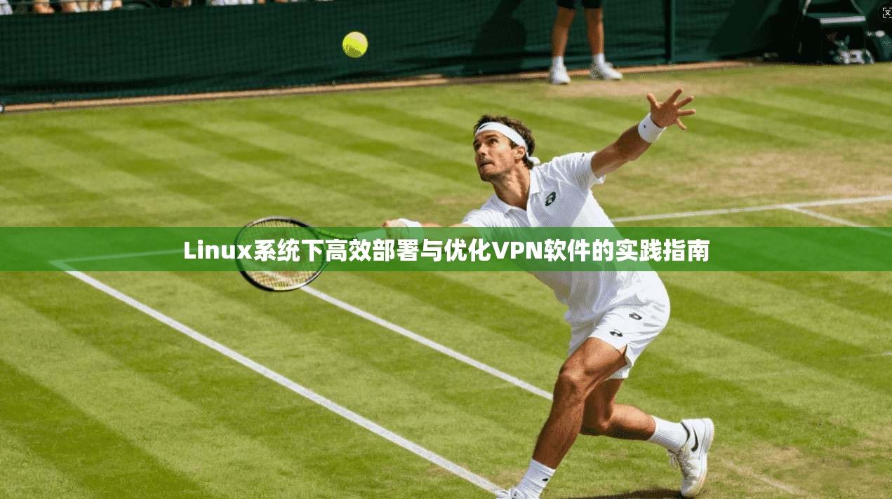 Linux系统下高效部署与优化VPN软件的实践指南