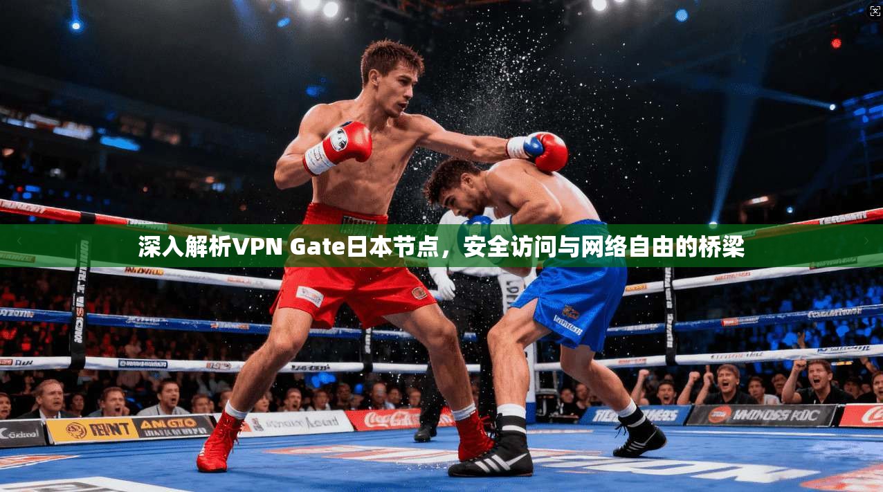 深入解析VPN Gate日本节点，安全访问与网络自由的桥梁