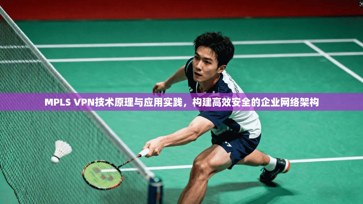 MPLS VPN技术原理与应用实践，构建高效安全的企业网络架构