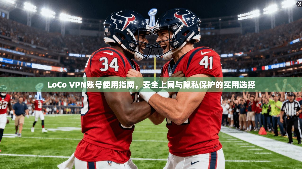 LoCo VPN账号使用指南，安全上网与隐私保护的实用选择
