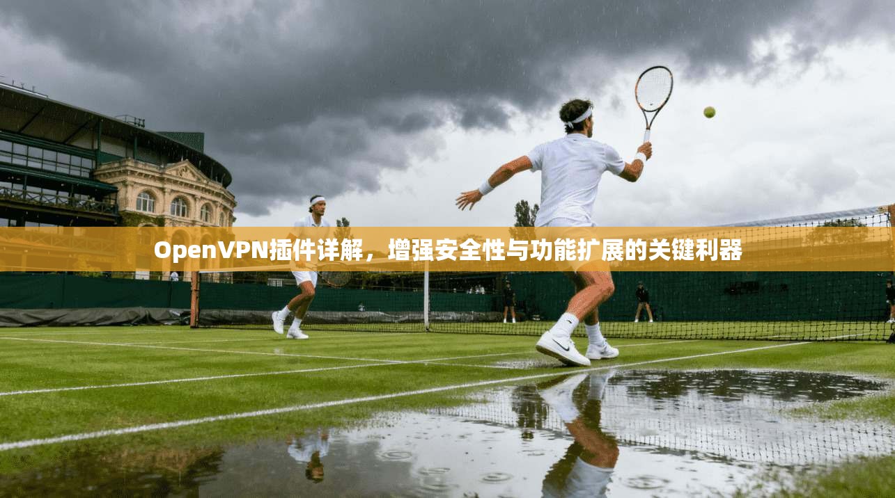OpenVPN插件详解，增强安全性与功能扩展的关键利器