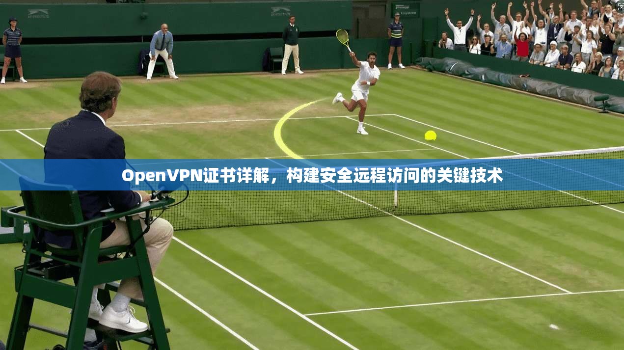 OpenVPN证书详解，构建安全远程访问的关键技术