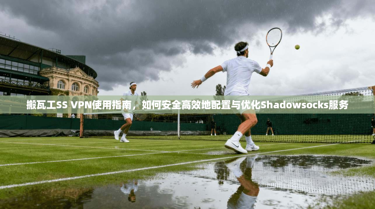 搬瓦工SS VPN使用指南，如何安全高效地配置与优化Shadowsocks服务