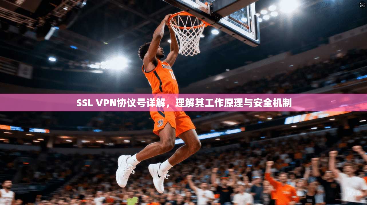 SSL VPN协议号详解,理解其工作原理与安全机制