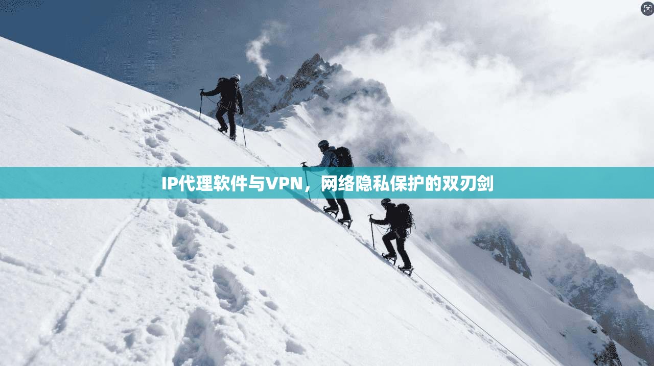 IP代理软件与VPN，网络隐私保护的双刃剑