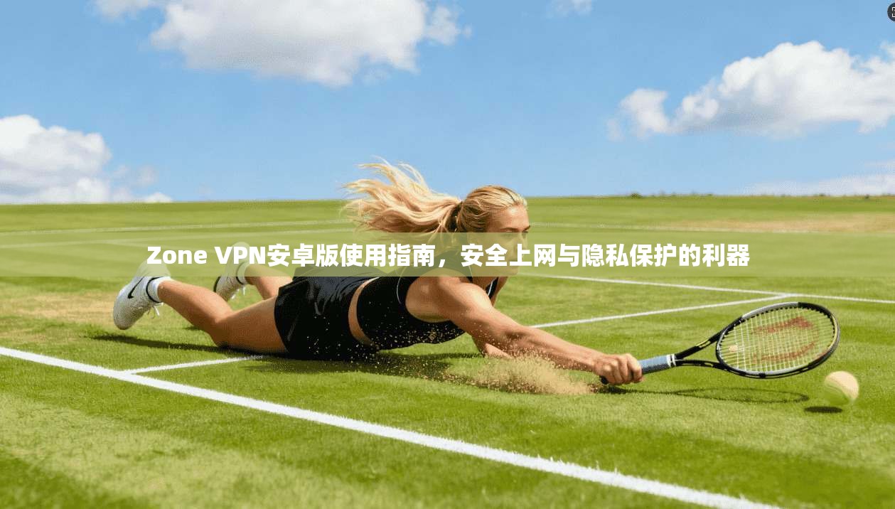 Zone VPN安卓版使用指南，安全上网与隐私保护的利器