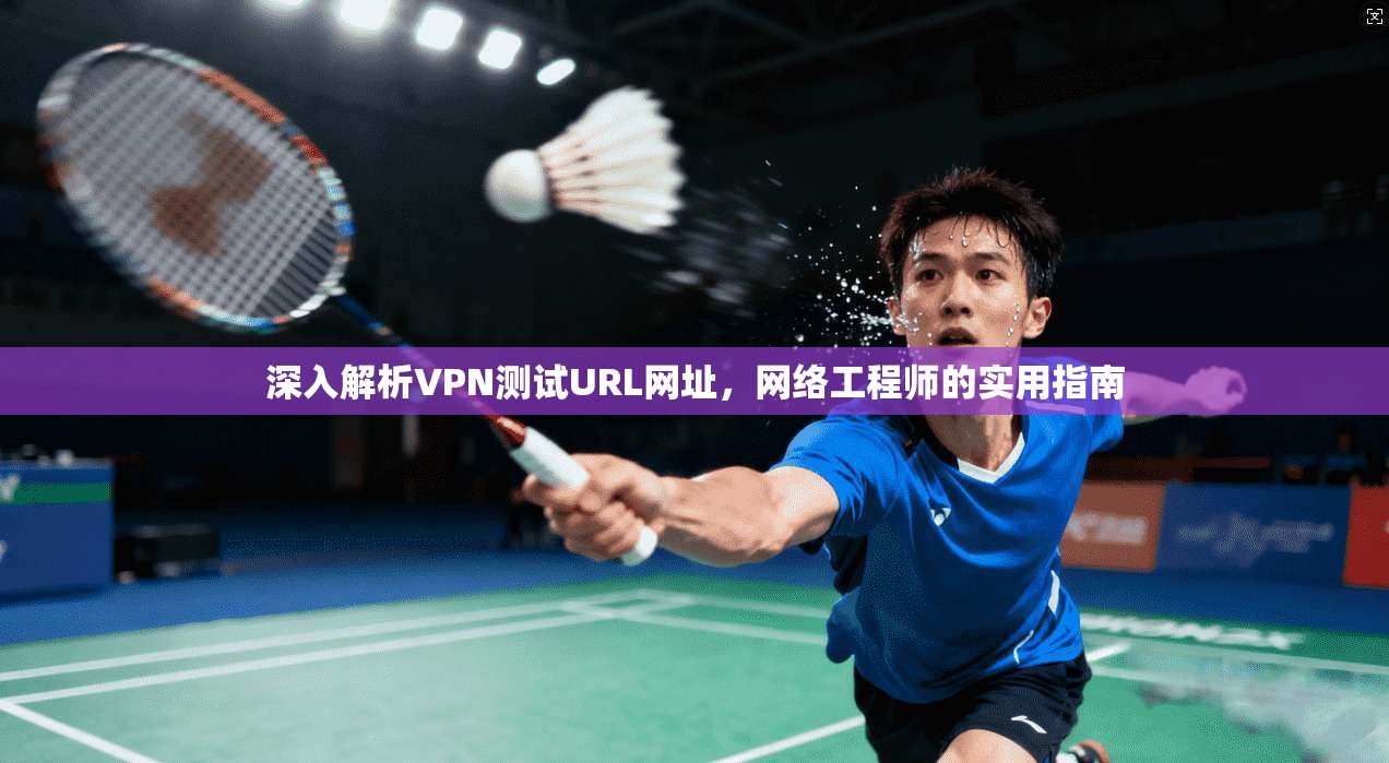 深入解析VPN测试URL网址，网络工程师的实用指南