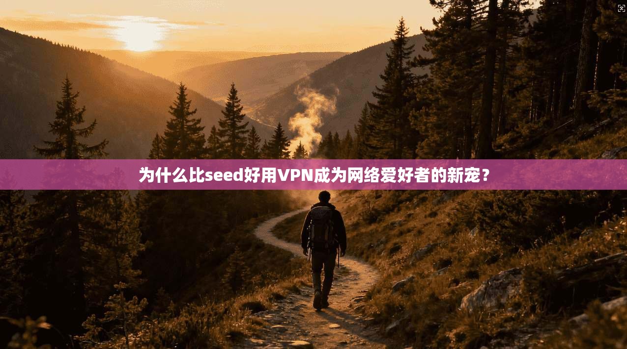 为什么比seed好用VPN成为网络爱好者的新宠？