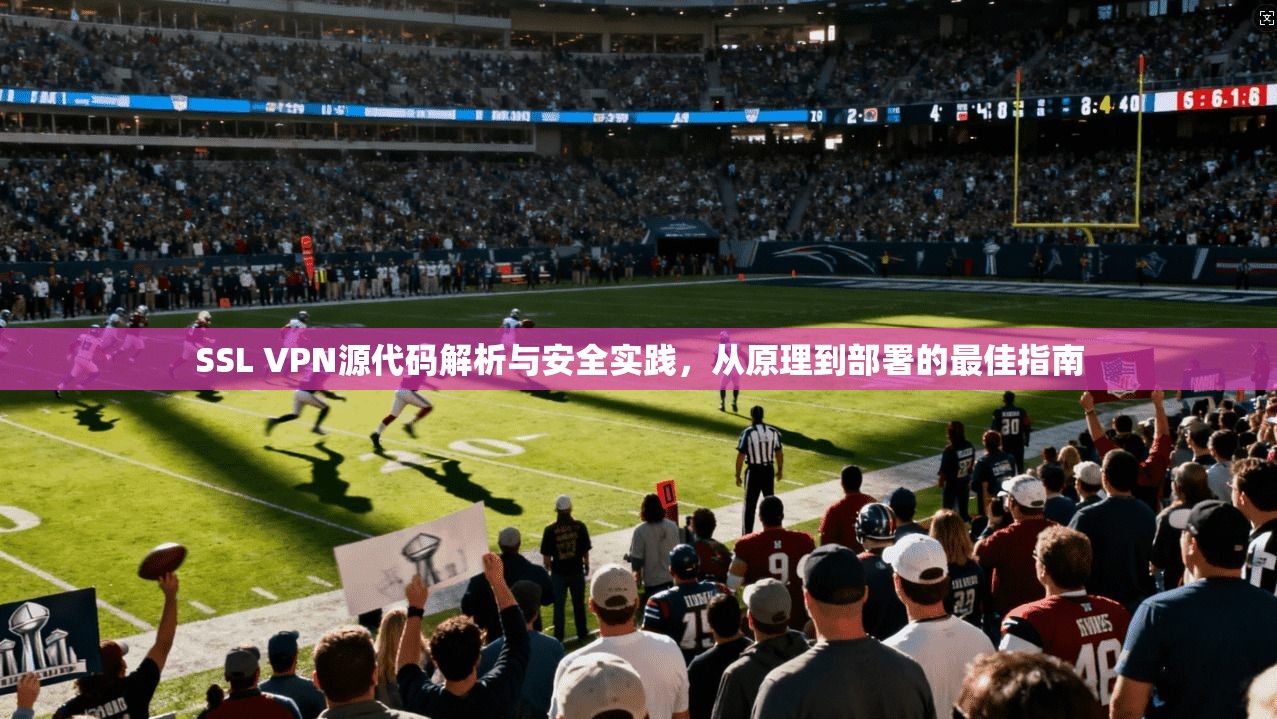 SSL VPN源代码解析与安全实践，从原理到部署的最佳指南
