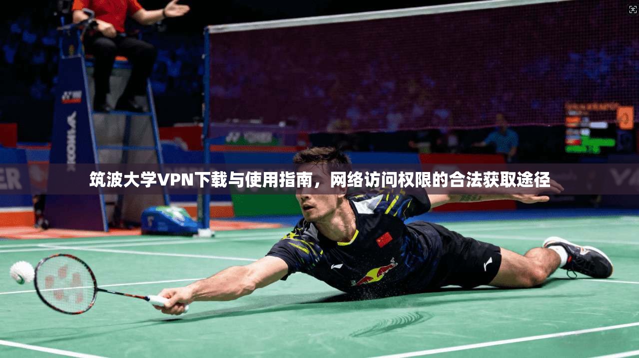 筑波大学VPN下载与使用指南，网络访问权限的合法获取途径