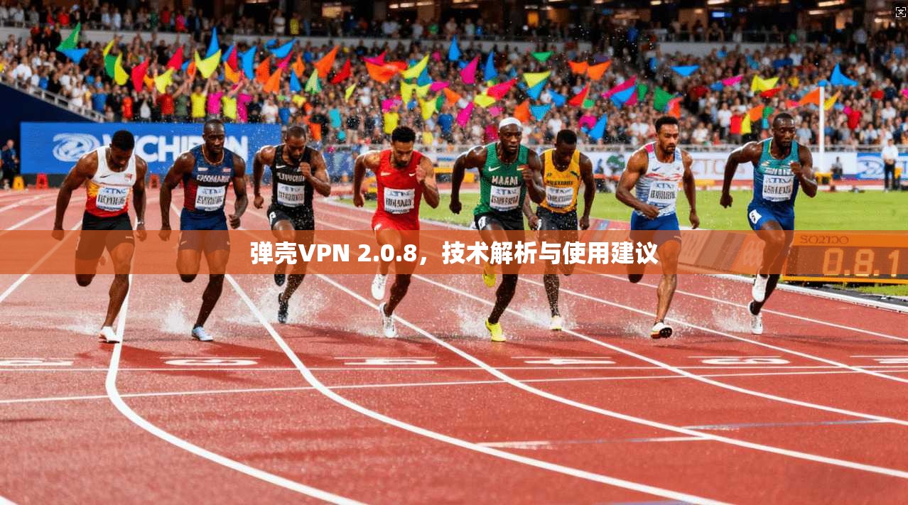 弹壳VPN 2.0.8，技术解析与使用建议