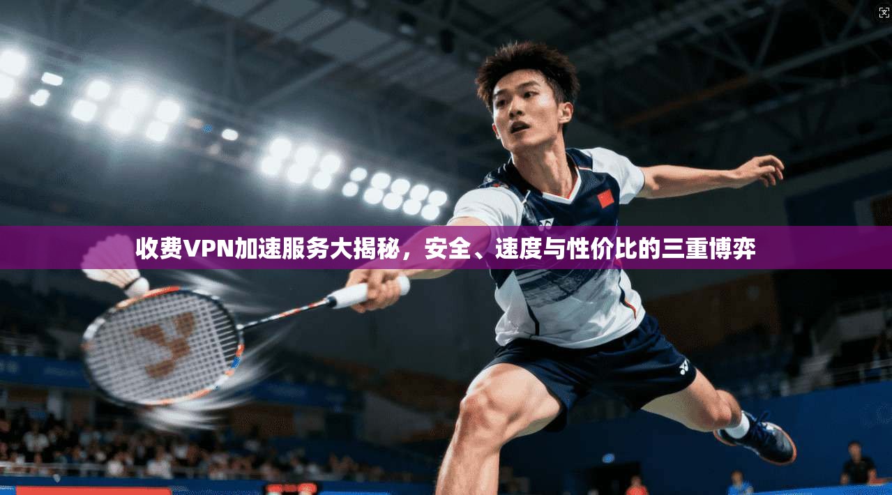收费VPN加速服务大揭秘，安全、速度与性价比的三重博弈