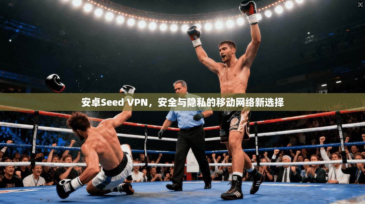 安卓Seed VPN，安全与隐私的移动网络新选择