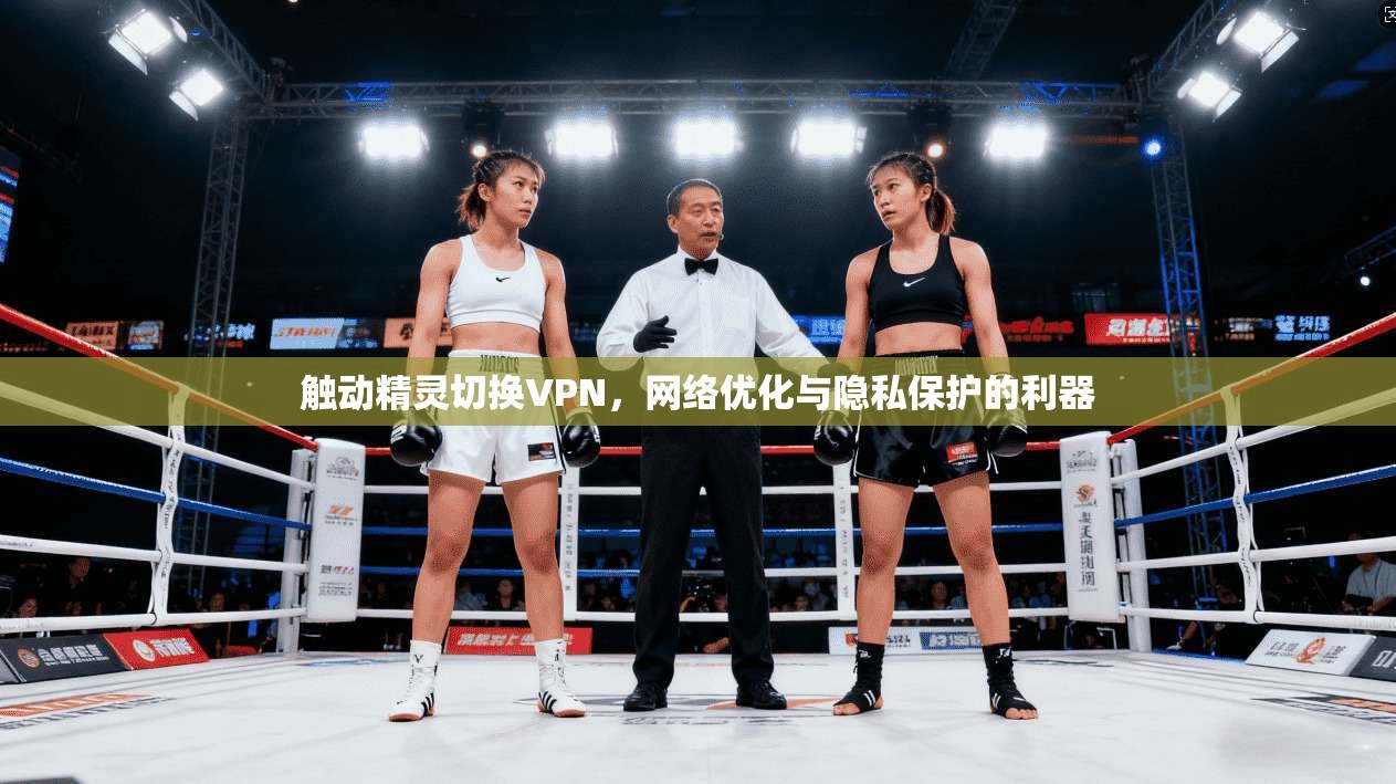 触动精灵切换VPN，网络优化与隐私保护的利器