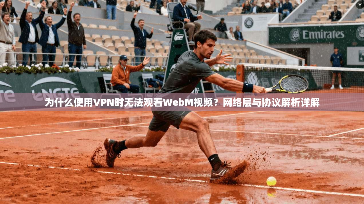 为什么使用VPN时无法观看WebM视频？网络层与协议解析详解