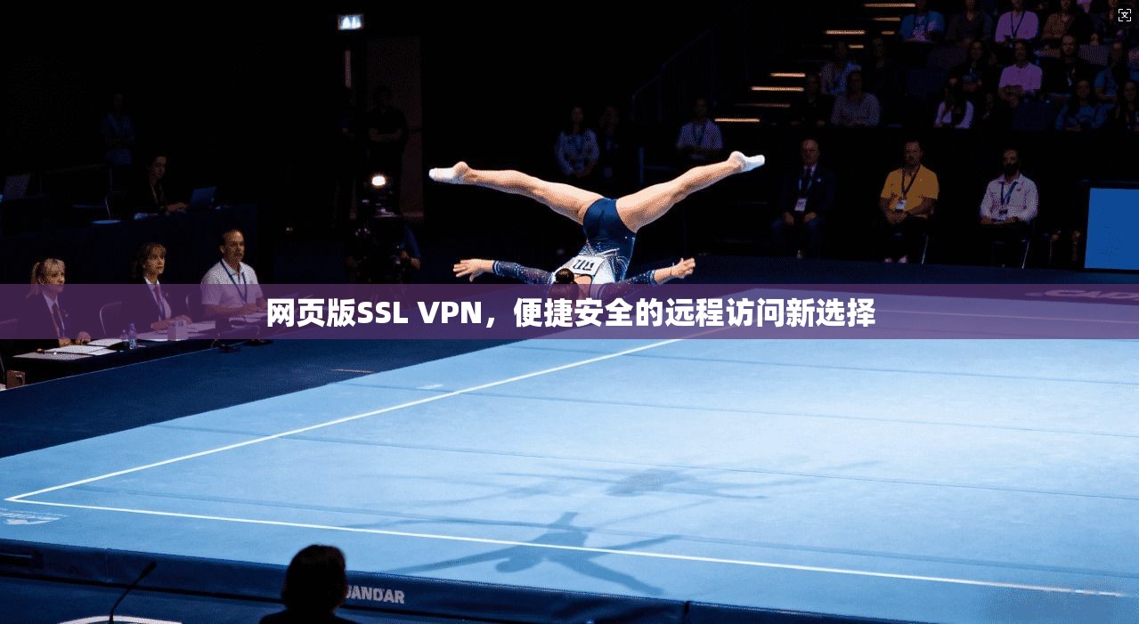 网页版SSL VPN，便捷安全的远程访问新选择