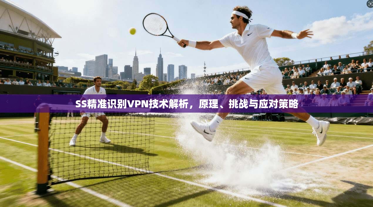 SS精准识别VPN技术解析，原理、挑战与应对策略