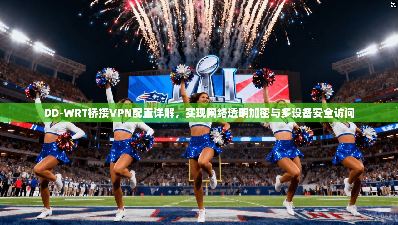 DD-WRT桥接VPN配置详解,实现网络透明加密与多设备安全访问
