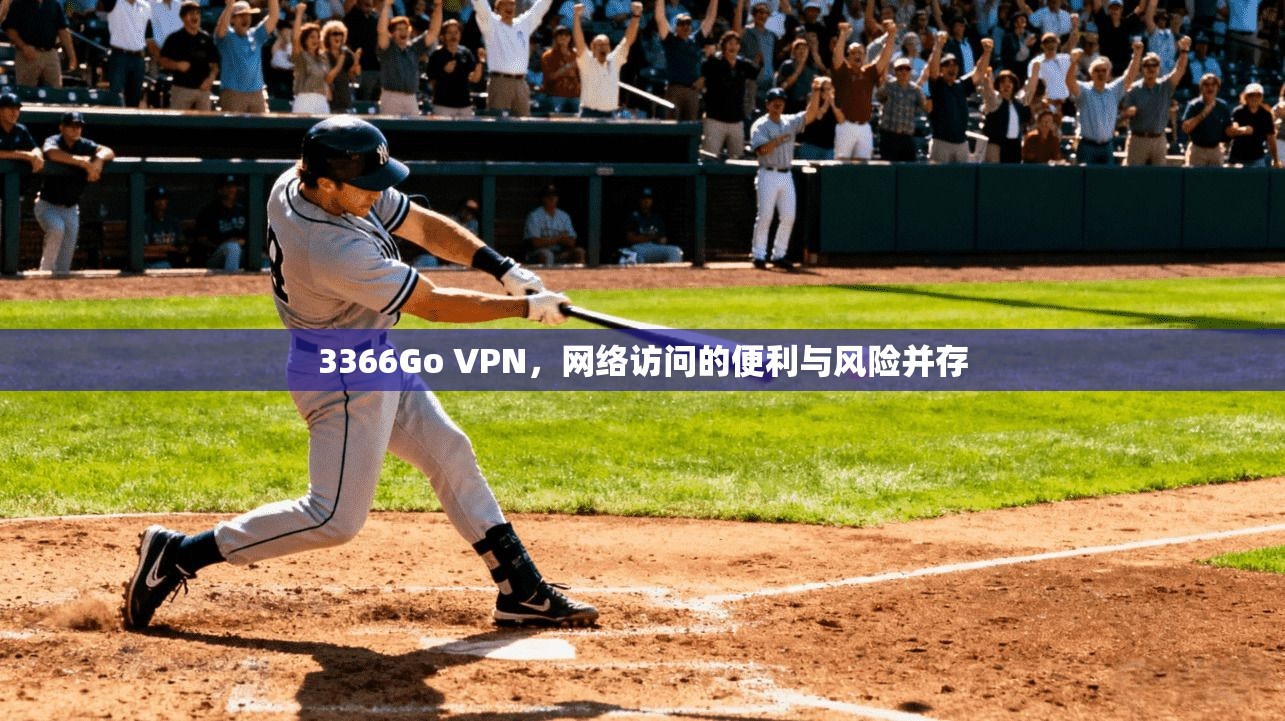 3366Go VPN，网络访问的便利与风险并存