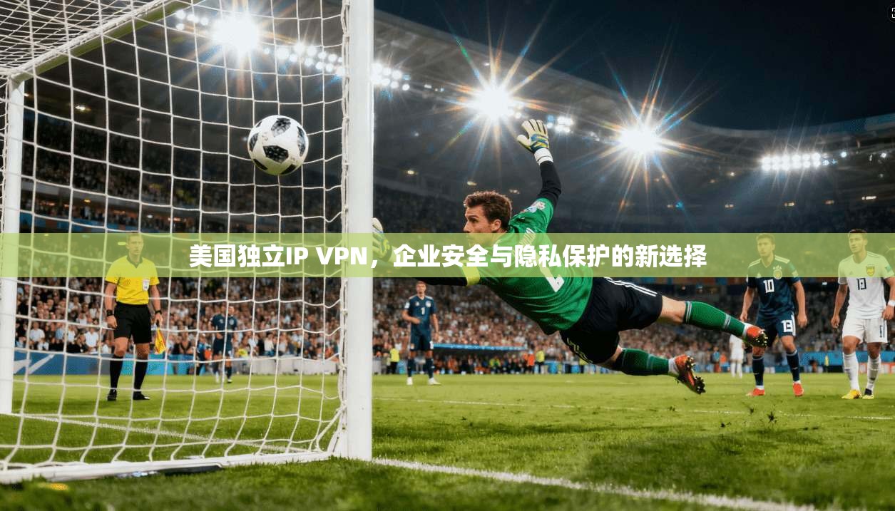 美国独立IP VPN，企业安全与隐私保护的新选择