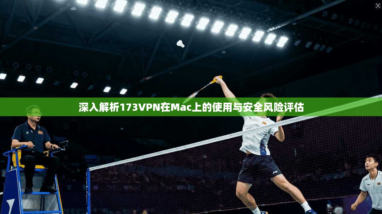 深入解析173VPN在Mac上的使用与安全风险评估