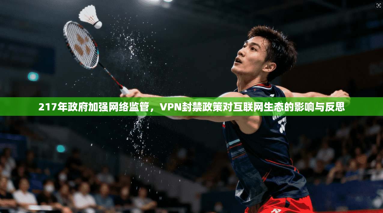 217年政府加强网络监管，VPN封禁政策对互联网生态的影响与反思