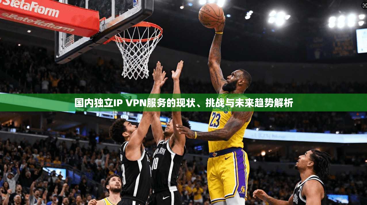 国内独立IP VPN服务的现状、挑战与未来趋势解析