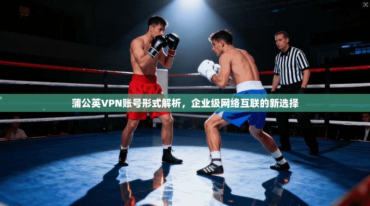 蒲公英VPN账号形式解析，企业级网络互联的新选择