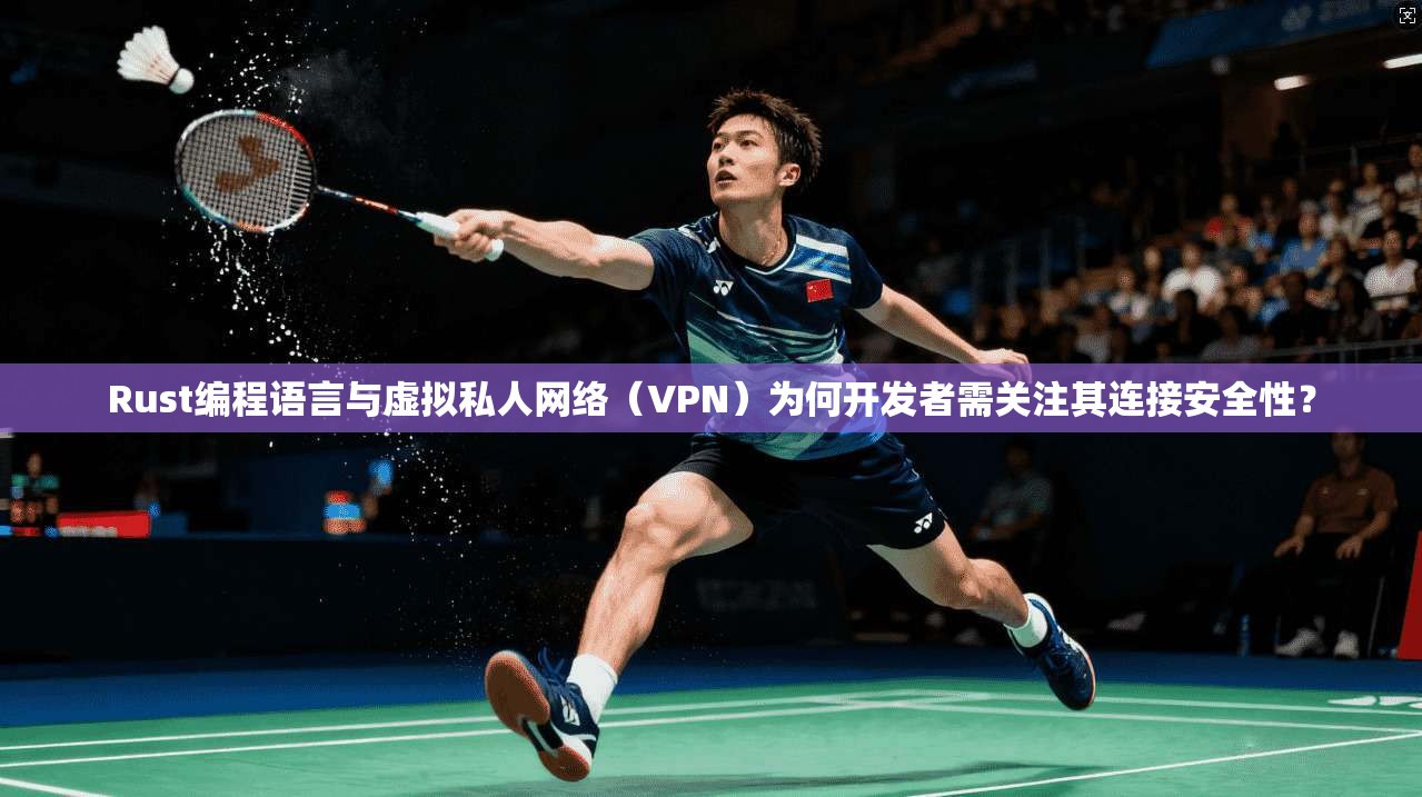 Rust编程语言与虚拟私人网络(VPN)为何开发者需关注其连接安全性?