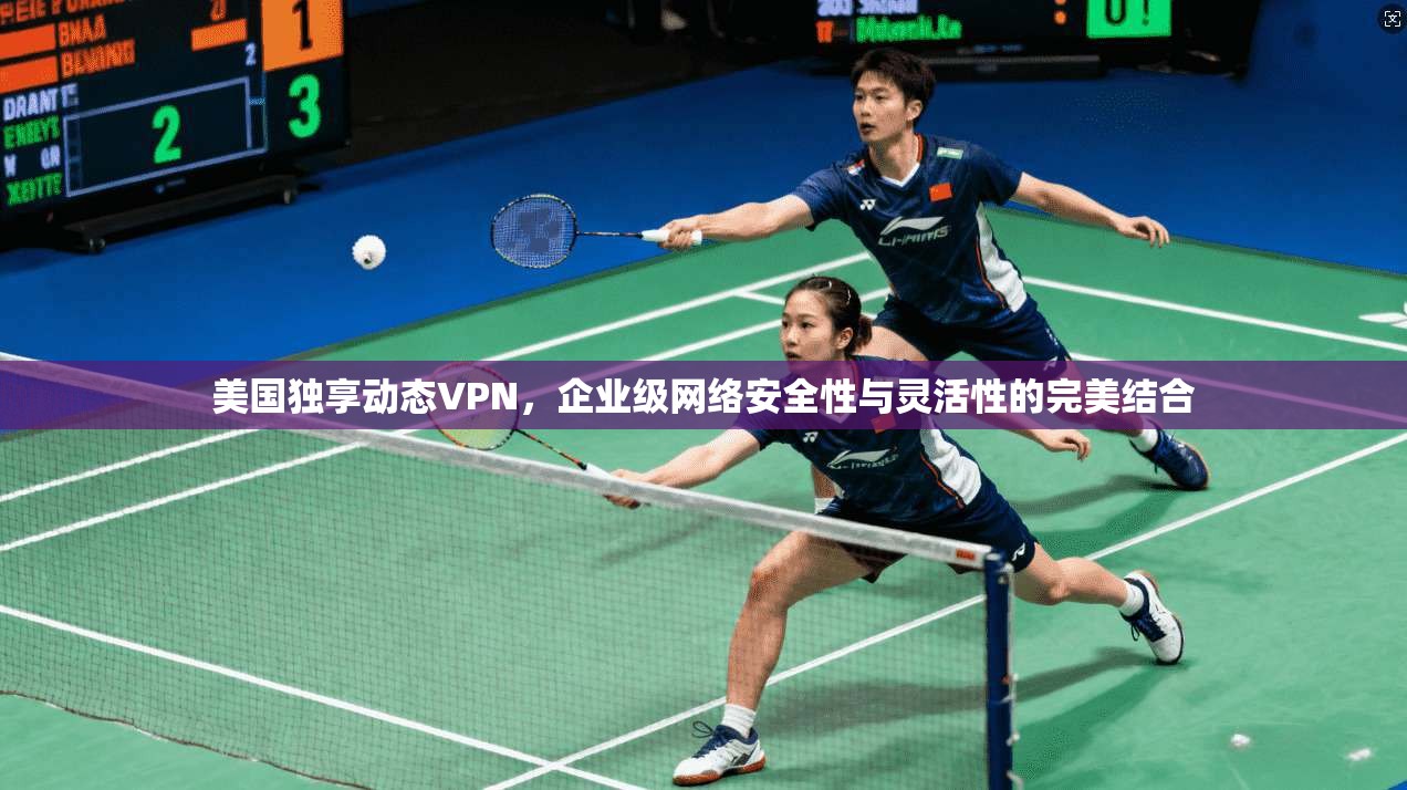 美国独享动态VPN，企业级网络安全性与灵活性的完美结合