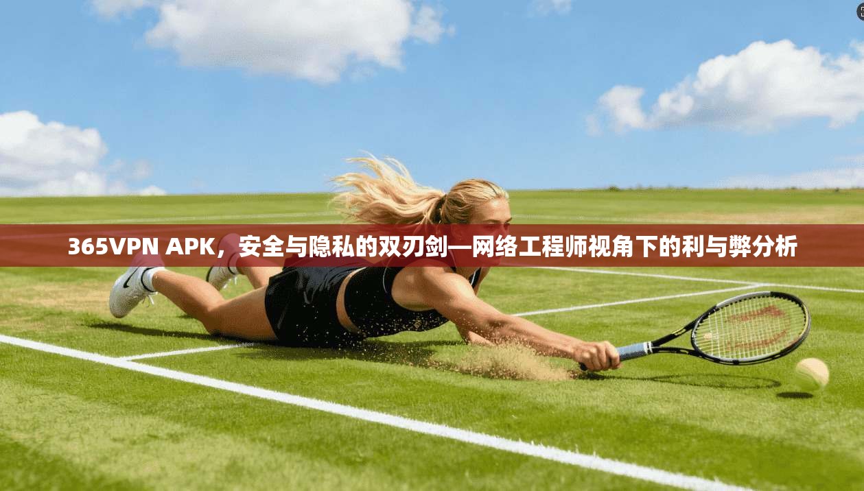 365VPN APK，安全与隐私的双刃剑—网络工程师视角下的利与弊分析