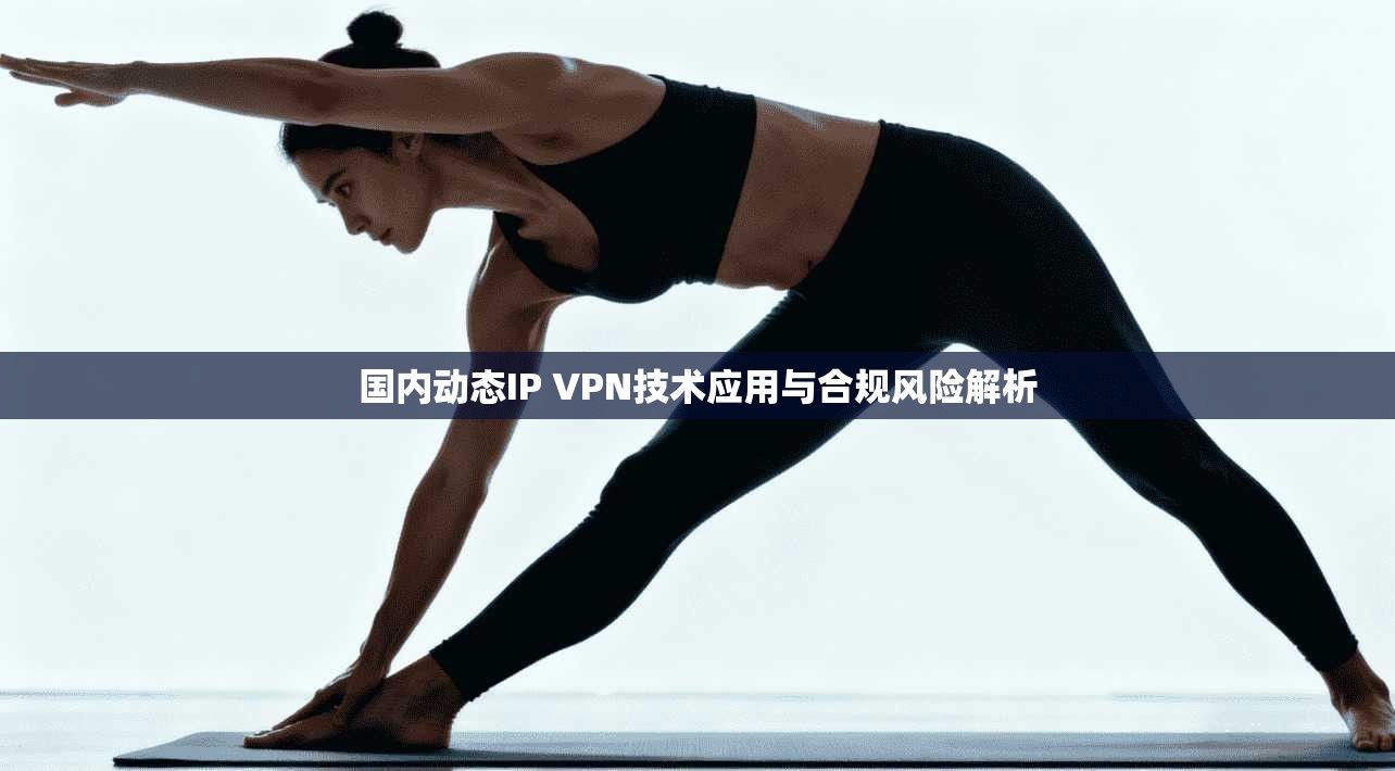国内动态IP VPN技术应用与合规风险解析