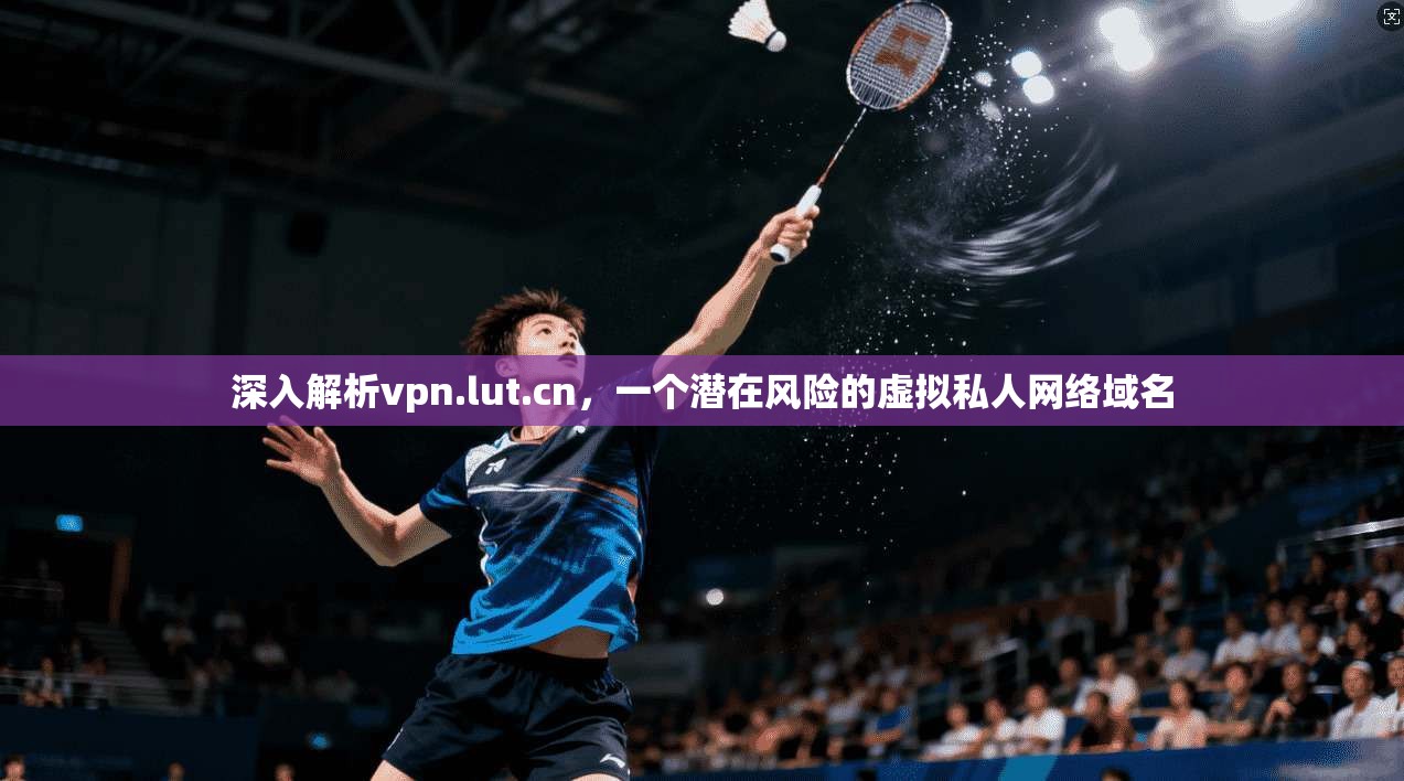 深入解析vpn.lut.cn，一个潜在风险的虚拟私人网络域名