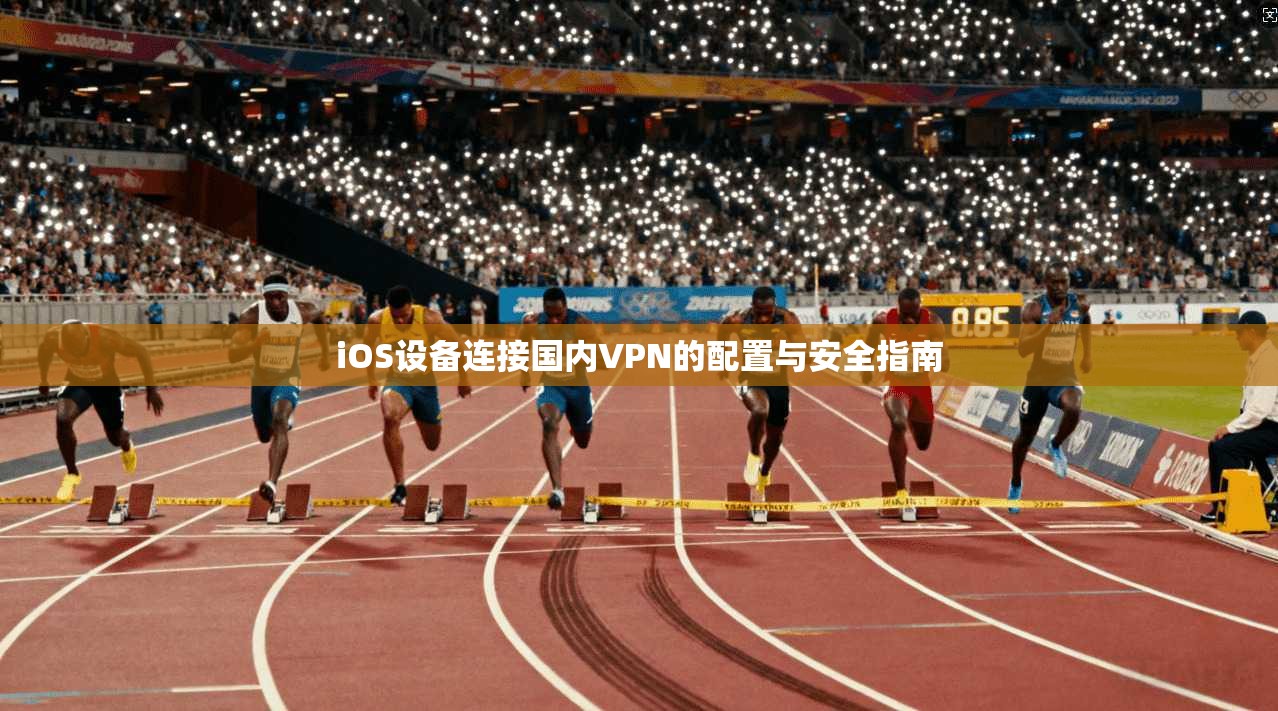 iOS设备连接国内VPN的配置与安全指南