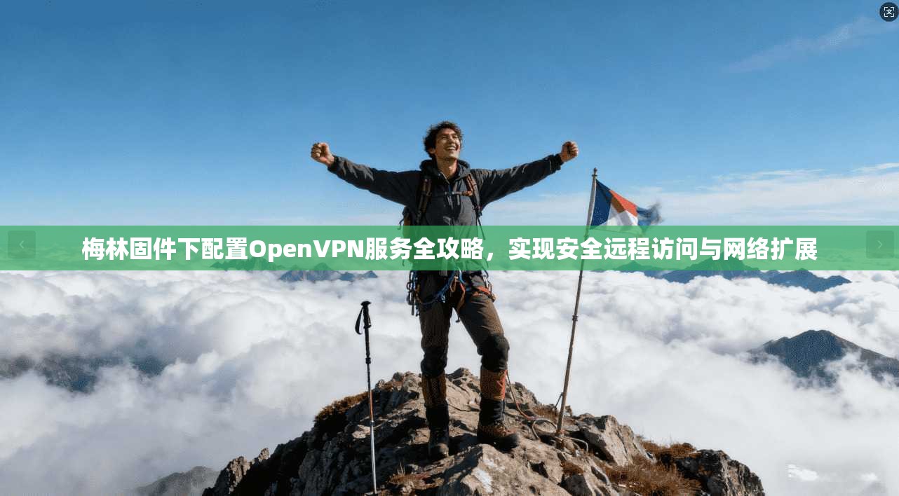 梅林固件下配置OpenVPN服务全攻略，实现安全远程访问与网络扩展