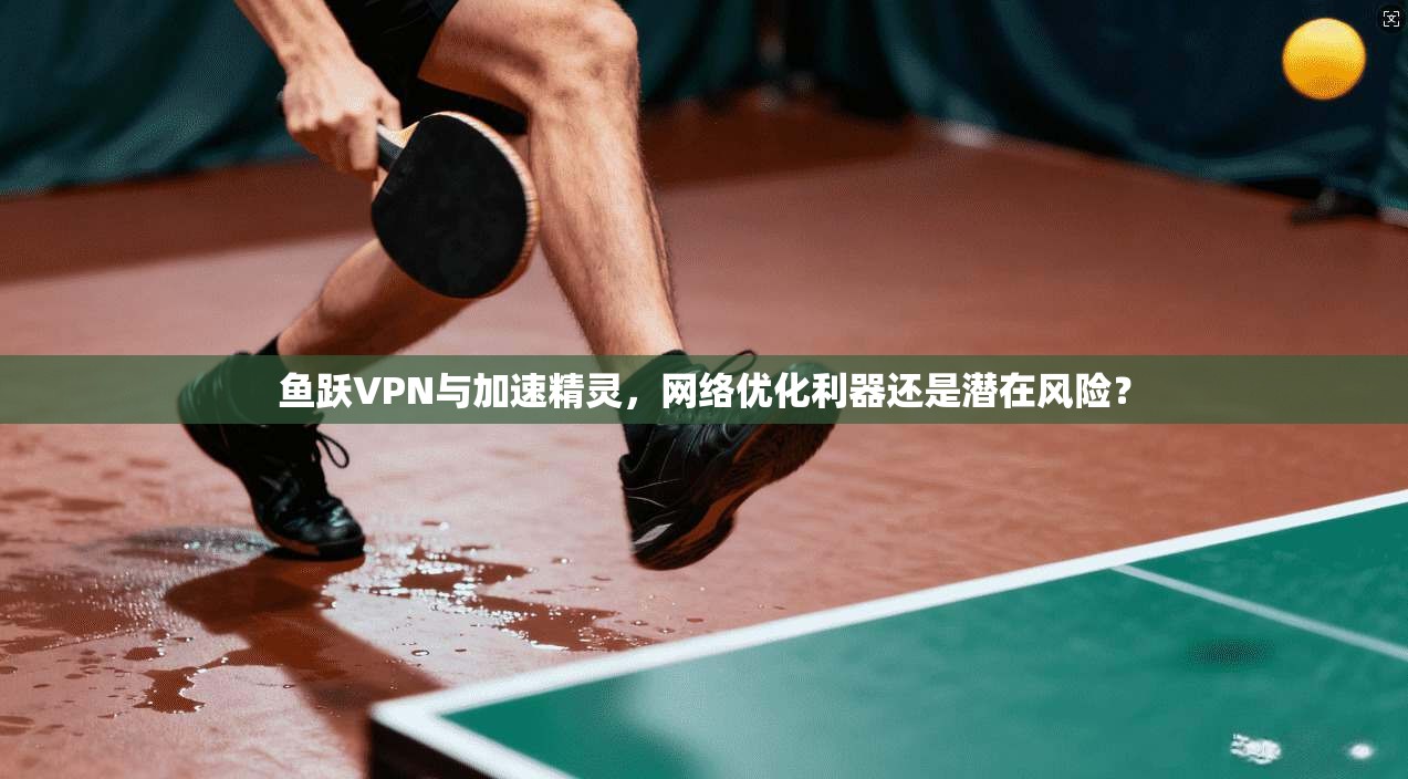 鱼跃VPN与加速精灵，网络优化利器还是潜在风险？