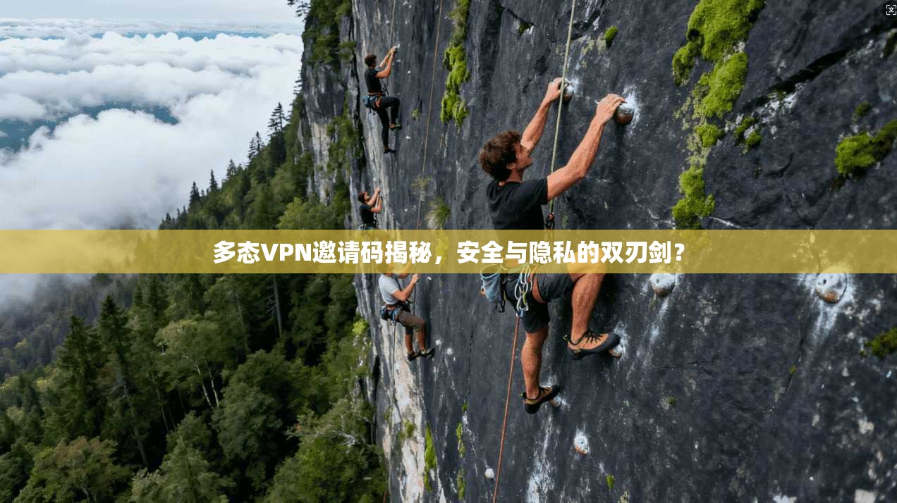 多态VPN邀请码揭秘，安全与隐私的双刃剑？
