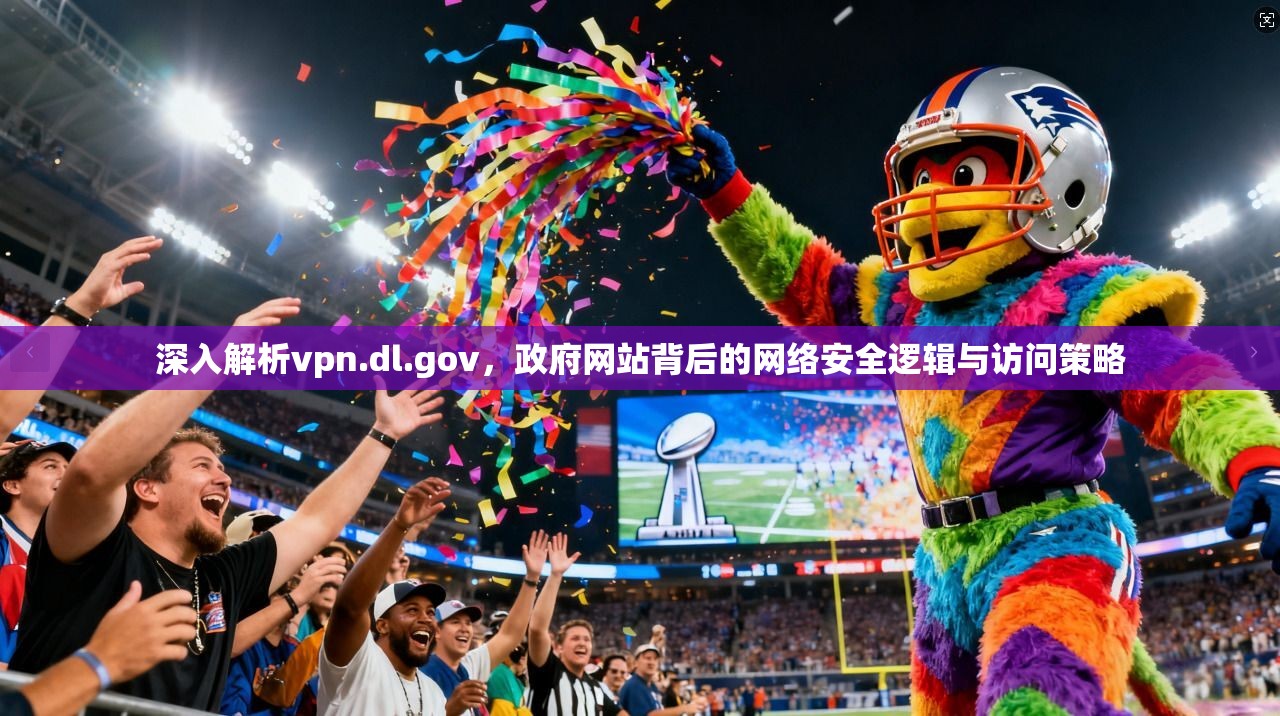 深入解析vpn.dl.gov，政府网站背后的网络安全逻辑与访问策略