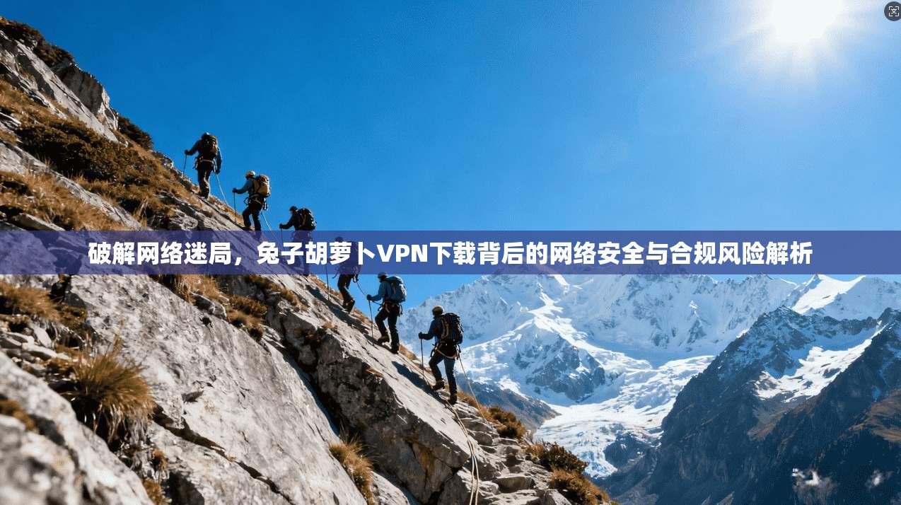 破解网络迷局，兔子胡萝卜VPN下载背后的网络安全与合规风险解析
