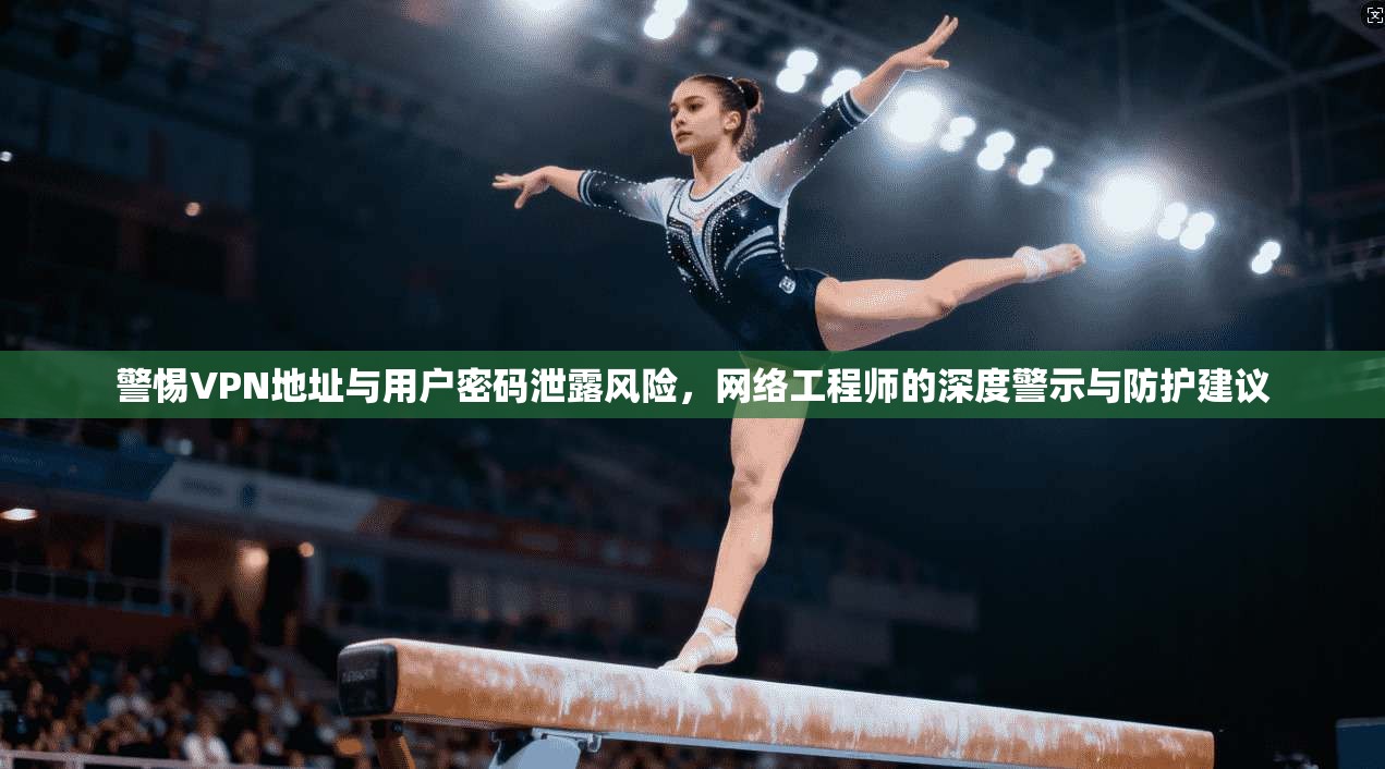 警惕VPN地址与用户密码泄露风险，网络工程师的深度警示与防护建议