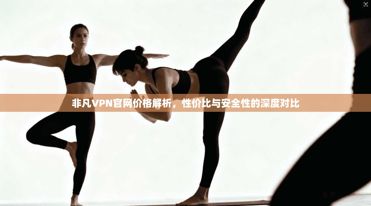 非凡VPN官网价格解析，性价比与安全性的深度对比