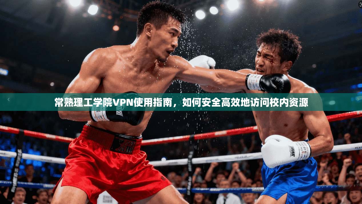常熟理工学院VPN使用指南，如何安全高效地访问校内资源