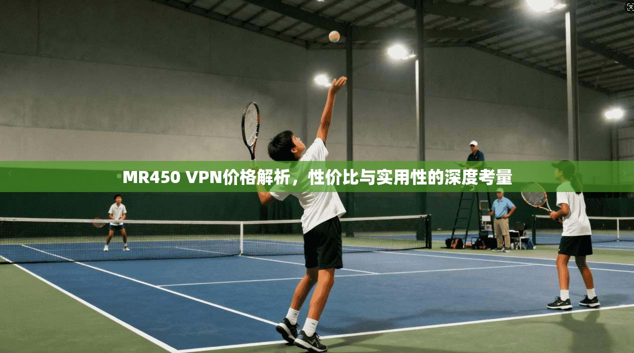 MR450 VPN价格解析，性价比与实用性的深度考量