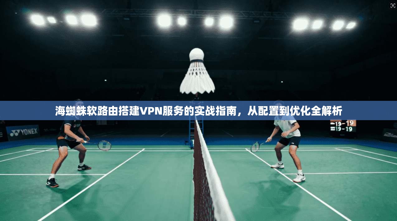 海蜘蛛软路由搭建VPN服务的实战指南，从配置到优化全解析