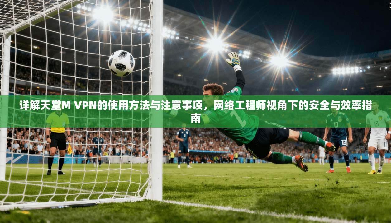 详解天堂M VPN的使用方法与注意事项,网络工程师视角下的安全与效率指南