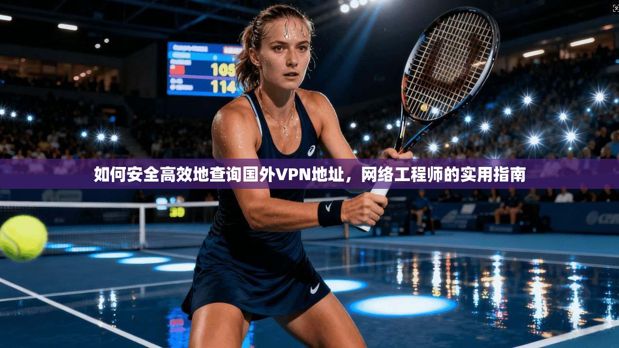 如何安全高效地查询国外VPN地址，网络工程师的实用指南