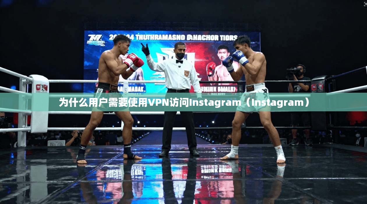 为什么用户需要使用VPN访问Instagram（Instagram）